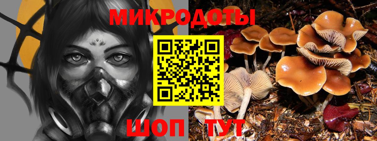 Мурманск  Галлюциногенные грибы Cubensis  Вход с VPN 