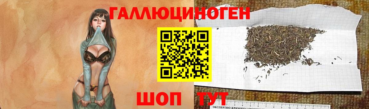 Псилоцибиновые грибы Magic Shrooms Мурманск